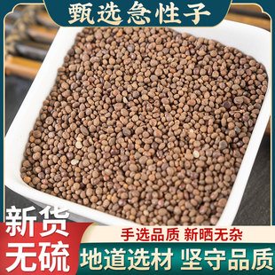 急性子中药材500克/250g 凤仙花子 指甲花籽 正品新货急性籽药材