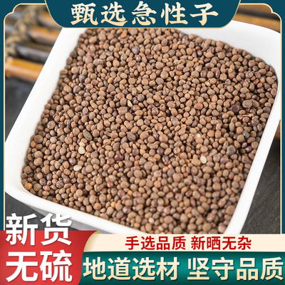 急性子中药材500克/250g 凤仙花子 指甲花籽 正品新货急性籽药材