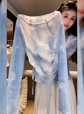 高级感蓝色微透防晒上衣女夏季新款时尚别致独特炸街长袖套头小衫