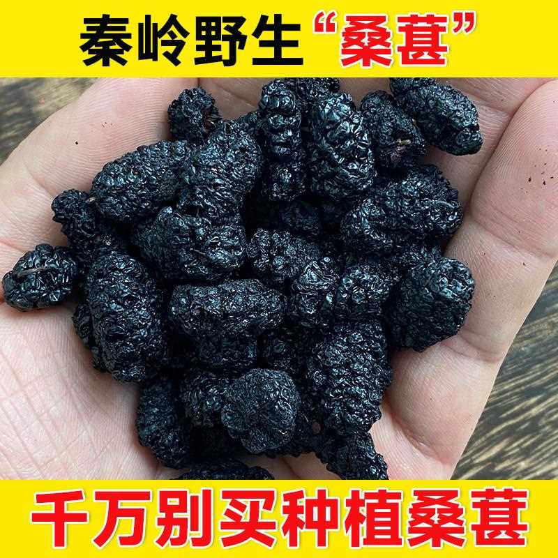 秦岭野生桑葚新鲜黑桑椹非桑葚干 干果搭覆 覆盆子枸杞红花泡茶水