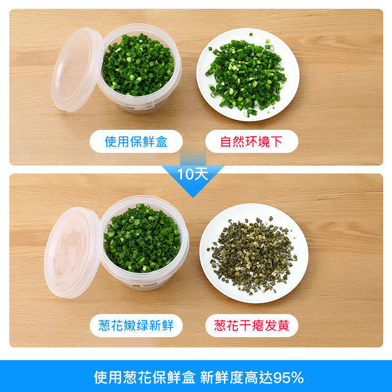 新款双层葱花保鲜盒透明密封沥水葱姜蒜末收纳盒可冷藏果盒