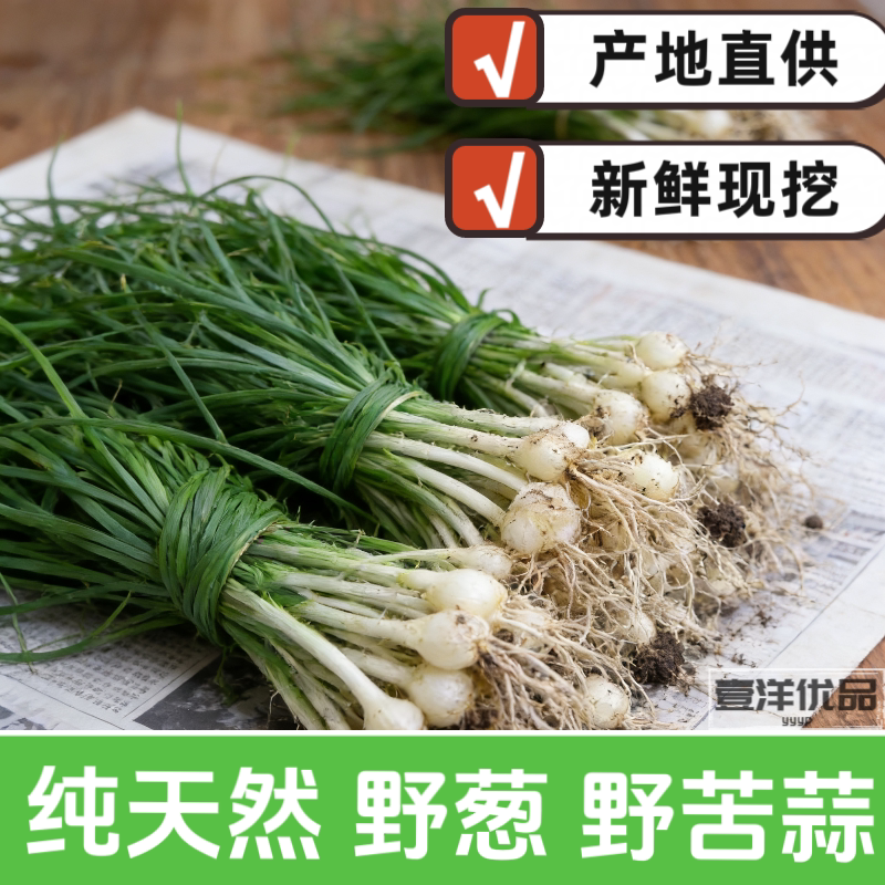 贵州纯天然野生苦蒜小野葱露天当叶菜类