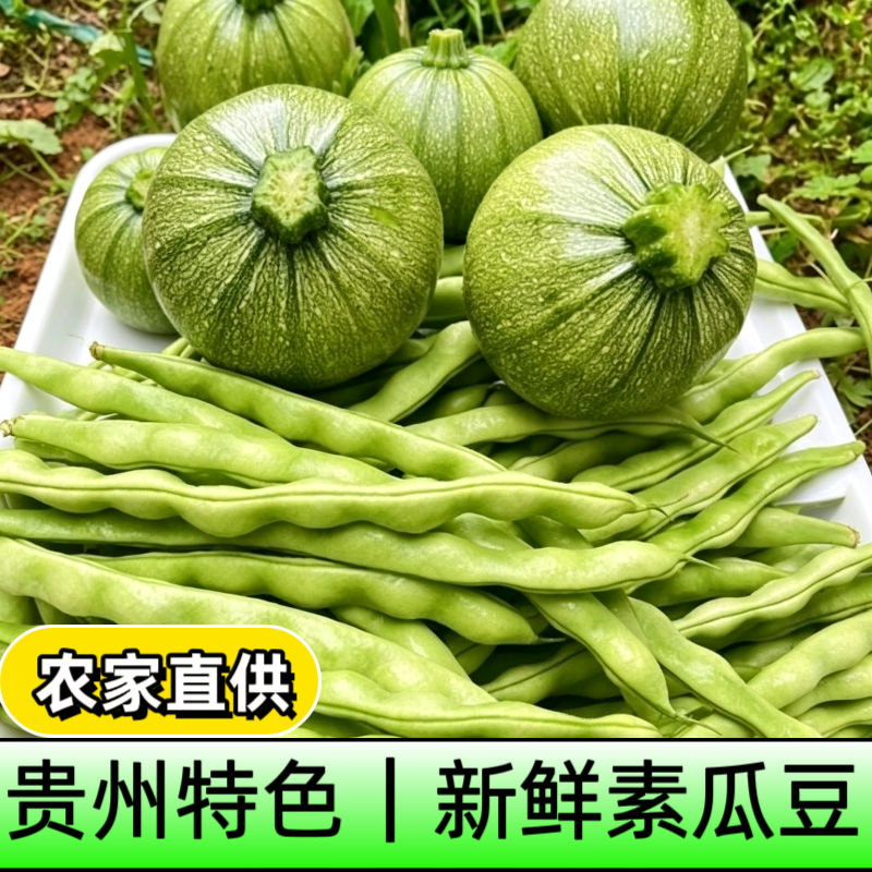 贵州特产素瓜豆组合新鲜现摘农家露天种植当季蔬菜嫩南瓜嫩豆角