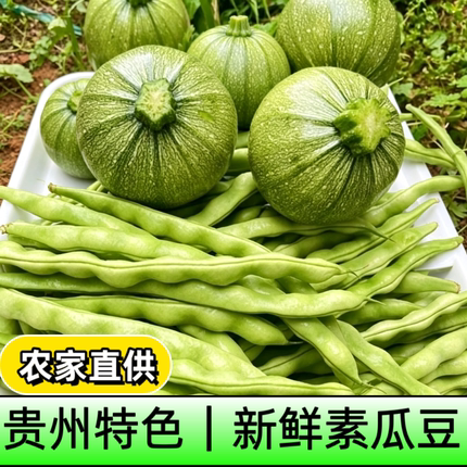 贵州特产素瓜豆组合新鲜现摘农家露天种植当季蔬菜嫩南瓜嫩豆角