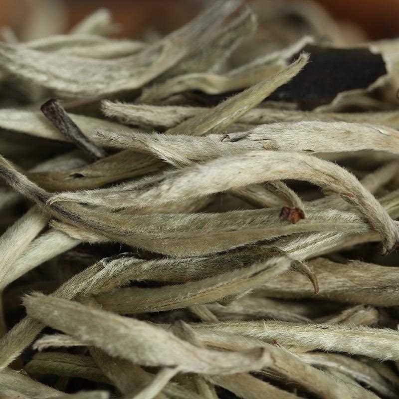 云南白茶 2025年白毫银针单芽 月光白单芽（中芽）散茶