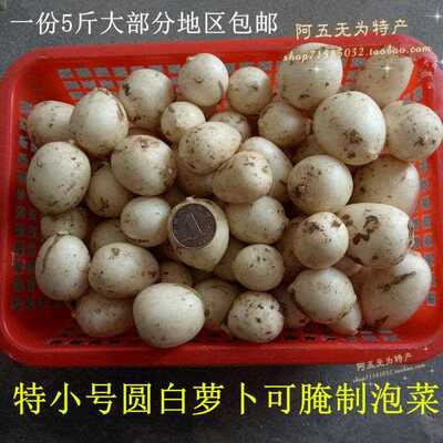 安徽无为特产新鲜圆白萝卜小圆萝卜可生吃可腌制泡菜现拔现发包邮
