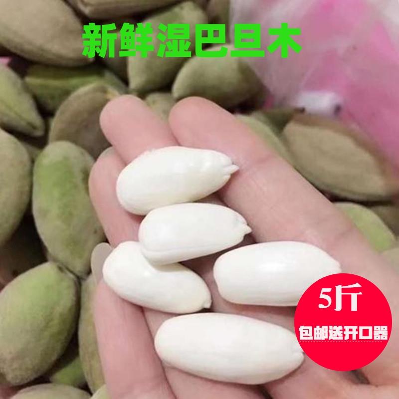 新鲜旦木现摘湿旦木带青皮绿皮生旦木扁桃仁新鲜大杏仁5斤