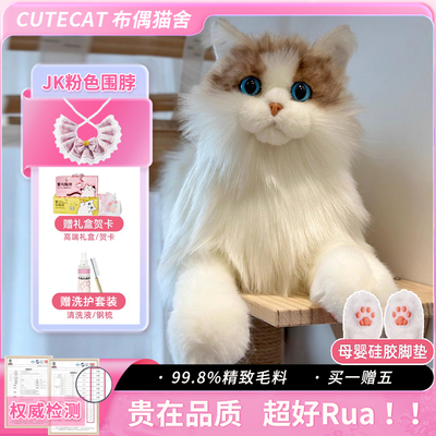 仿真布偶猫背包小猫咪玩偶毛绒玩具包送女友女孩儿童高档生日礼物