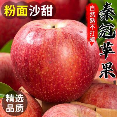 陕西秦冠粉面沙甜苹果新鲜当季老人宝宝刮泥9斤应季水果整箱