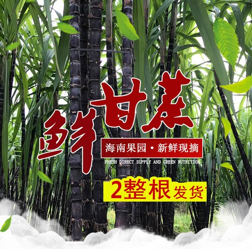 黑皮甘蔗结婚搬家喜事