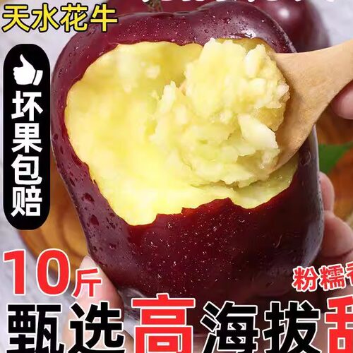 正宗花牛甘肃产新红星新鲜粉苹果面苹果水果