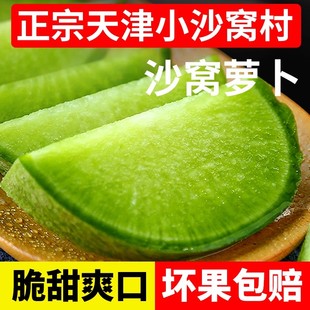 水果型沙窝萝卜 脆嫩爽口无渣 正宗天津卫青萝卜新鲜蔬菜整箱包邮