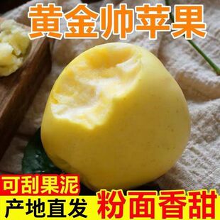 黄元帅现摘大果软糯苹果爆甜应季水果香甜5/10斤礼盒