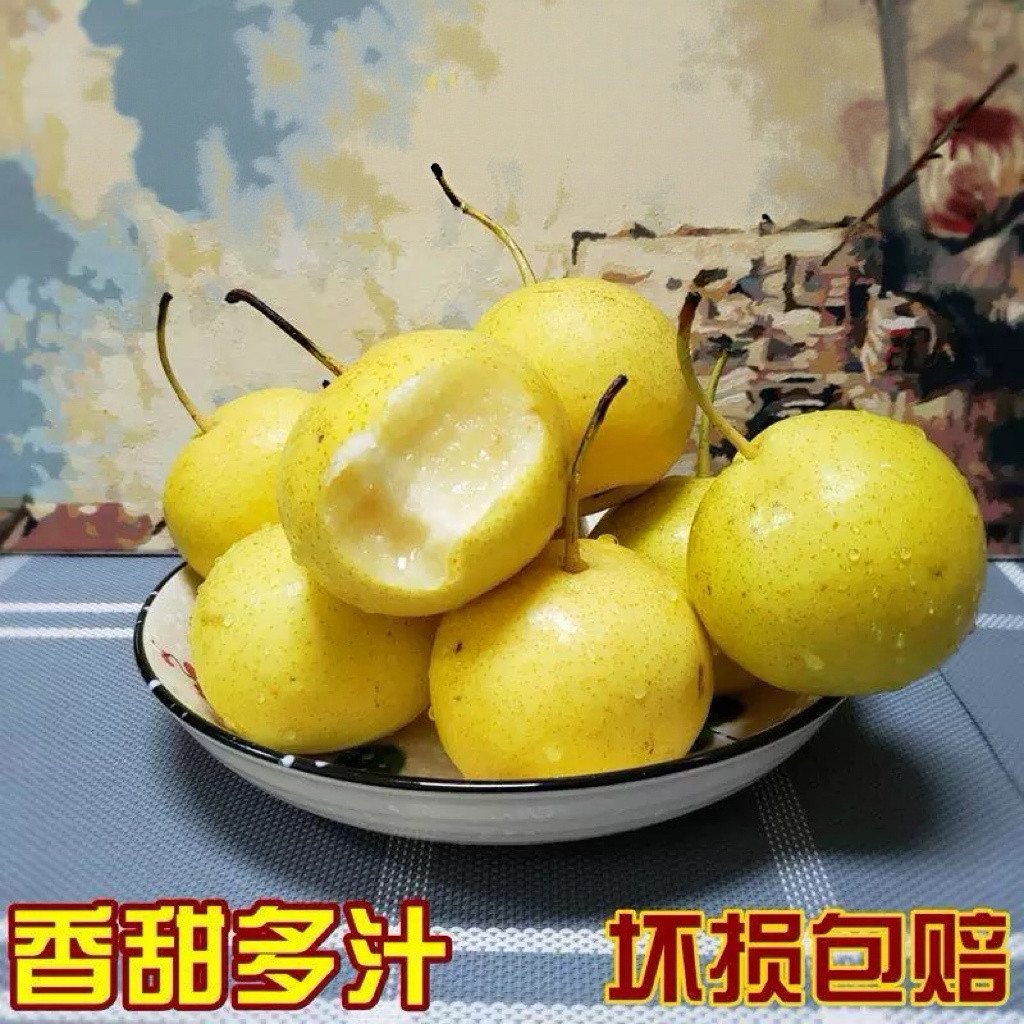 北方白梨 果肉酥软 老人小孩都爱吃 坏果包赔