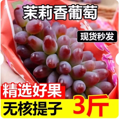 茉莉香葡萄新鲜孕妇水果现摘无籽玫瑰香红提百果郁金香葡萄当季果