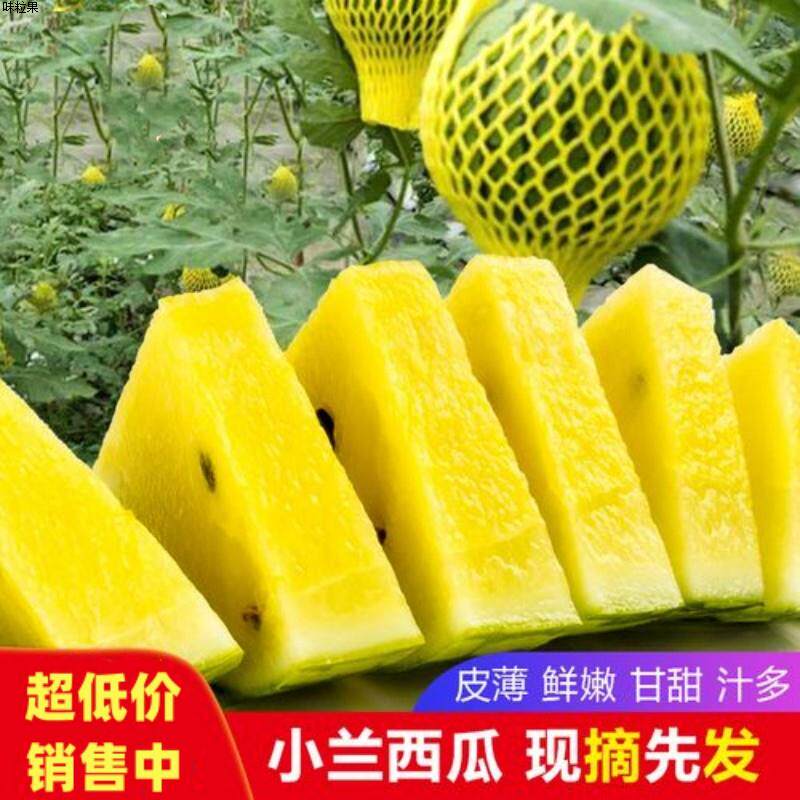 特小凤西瓜新鲜现新鲜新鲜摘富晒黄壤小兰西瓜当季早熟冰淇淋薄皮