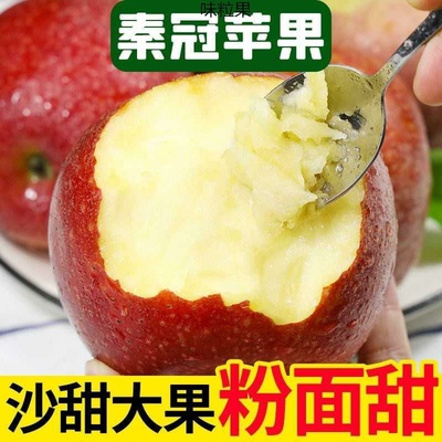 陕西秦冠苹果粉面沙甜新鲜水果现摘老人宝宝辅食刮泥吃非花牛冰糖