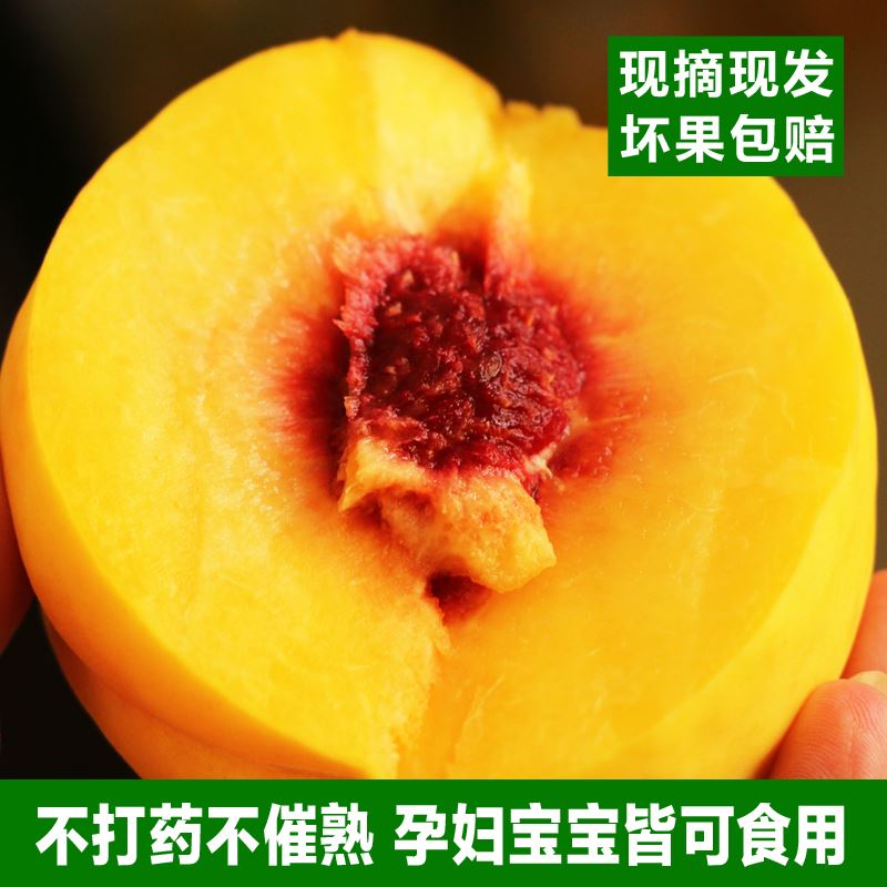 黄桃新鲜水湖锦绣黄毛桃