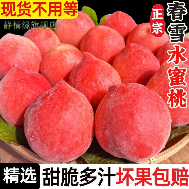 现货春雪水蜜桃5斤 冬脆桃当季时令孕妇桃子水果新鲜顺丰包邮