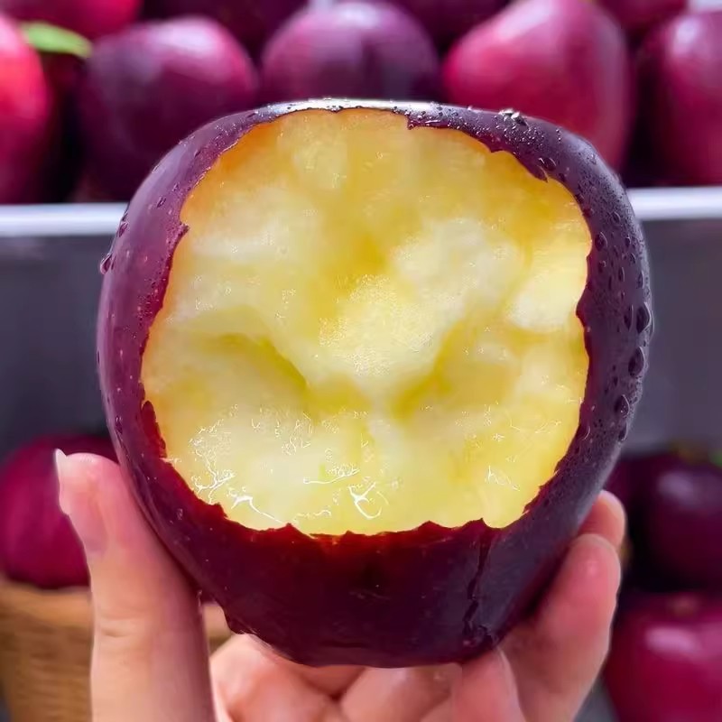 甘肃天水黑卡苹果黑花牛冰糖心