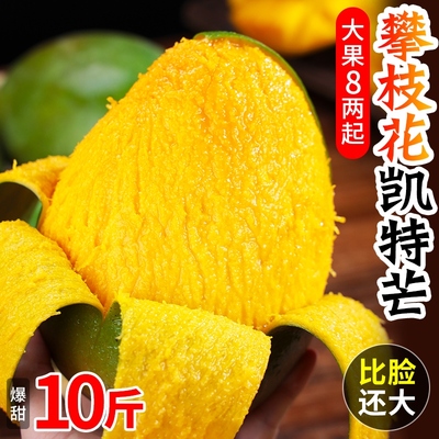 攀枝花凯特芒果10斤新鲜水果当季整箱四川忙果甜青皮大澳芒果包邮