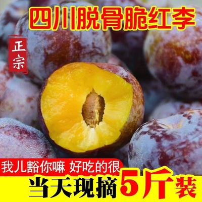大果四川高山脆红李茵红李脱骨李新鲜水果空心青红脆李半边红李子