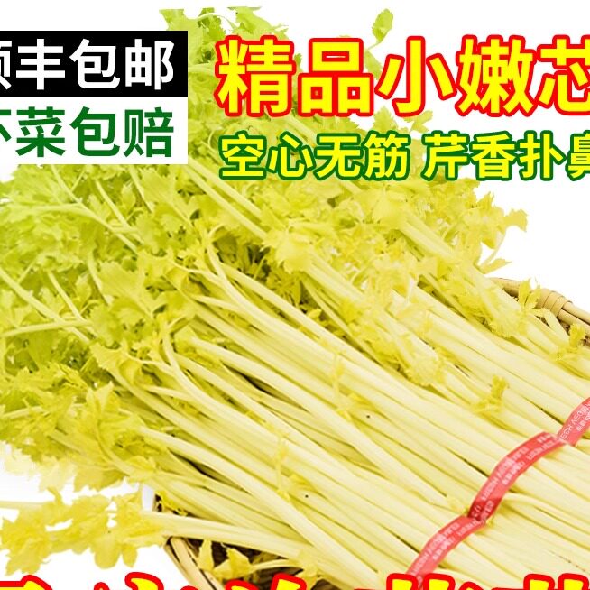 马家沟产芹菜平度精品大叶黄芹菜嫩芯生吃产地直销新鲜蔬菜包邮 - 实物图
