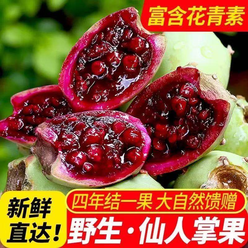 海南新鲜野生仙人掌果实当季仙桃热带网红水果仙人掌果汁现摘现发,水产肉类/新鲜蔬果/熟食,番茄,淘宝优惠券,粉丝福利购,淘宝优惠卷