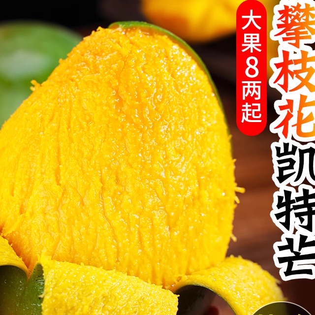 攀枝花凯特芒果10斤新鲜水果当季整箱四川忙果甜青皮大澳芒果包邮