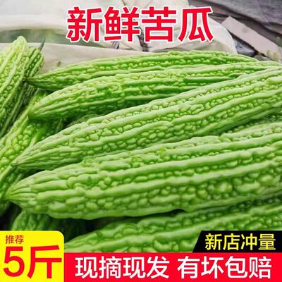 苦瓜新鲜特级山东农家自种凉瓜当季蔬菜现摘现发整箱农家种绿苦瓜