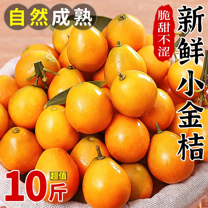 广西脆皮小金桔10斤新鲜桔子应当季现摘水果蜜金柑桔纯甜孕妇整箱