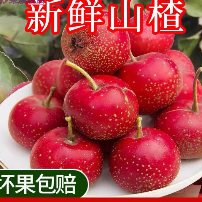 新鲜山楂鲜果甜红子山里红大金星甜口水果山楂糖球冰糖葫芦专用