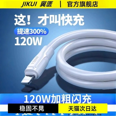 加粗加长蟒蛇线数据线