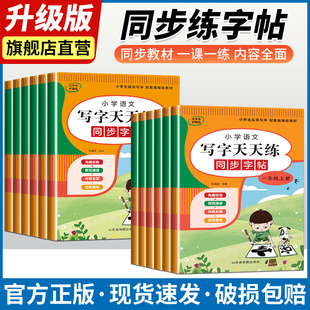 同步练字帖小学一二三四五六年级字帖练字上册下册小学同步练字帖
