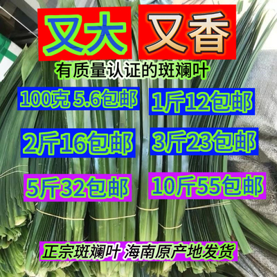 可食用新鲜海南正宗斑斓叶5元包邮海南原产地直发香兰叶香露兜叶