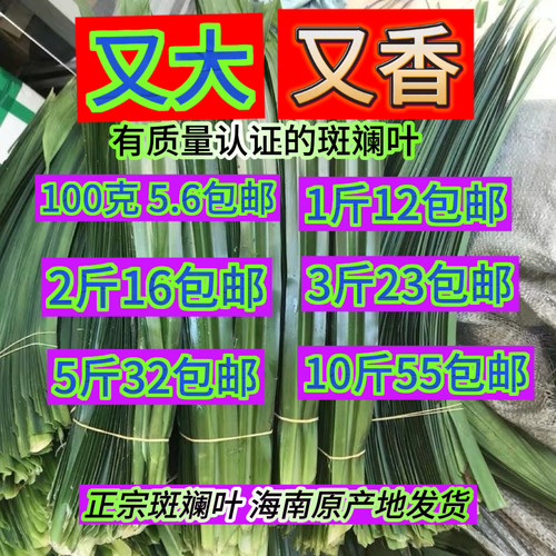 新鲜斑斓叶5元包邮海南原产地直发香兰叶香露兜斑斓原叶可食用
