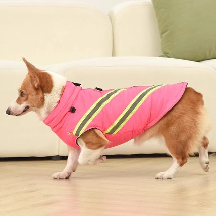 柯基狗狗衣服秋冬季中小型犬可牵引加厚保暖防水柴犬新款宠物棉衣