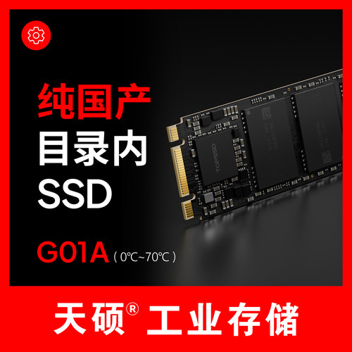 天硕（TOPSSD）G01国产M.2 NVMe 2280 工业级SSD固态硬盘