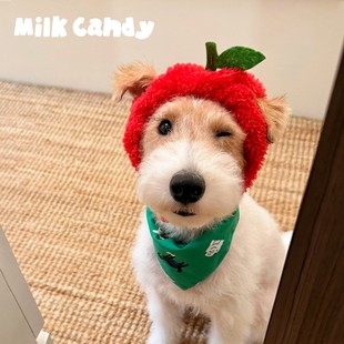 狗狗红苹果帽子宠物圣诞节毛绒头套小狗圣诞帽露耳朵猫咪搞笑头饰