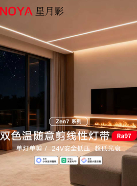 星月影Zen7双色温灯带已接入米家APP变压器24V低压控制器Mesh2.0