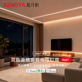 星月影Zen7双色温灯带已接入米家APP变压器24V低压控制器Mesh2.0