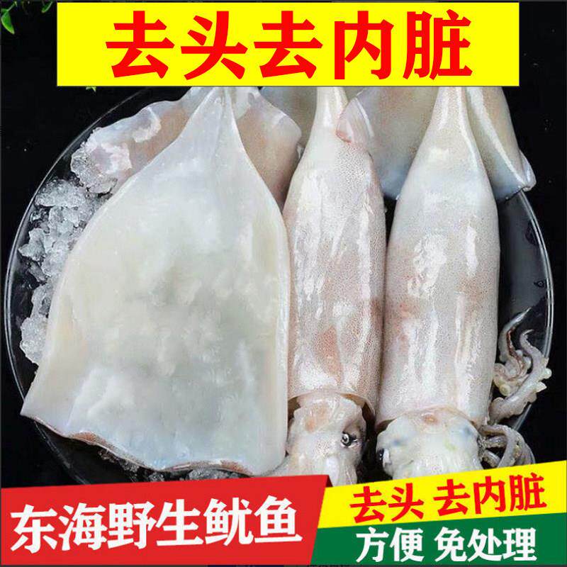 【免清理去内脏大鱿鱼】新鲜鱿鱼片整祇鲜活冷冻野生鱿鱼整祇烧烤