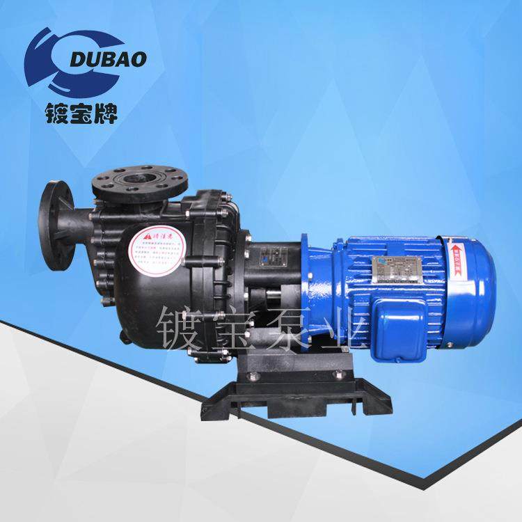 小型提升泵 耐酸碱耐腐蚀微型水泵220V 大量江苏自吸泵