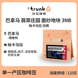 巴拿马翡翠庄园 面纱地块3NB帕卡马拉日晒浅烘SOE手冲咖啡豆美式