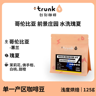 哥伦比亚前景庄园水洗瑰夏 单品手冲浅度烘焙美式黑咖啡豆