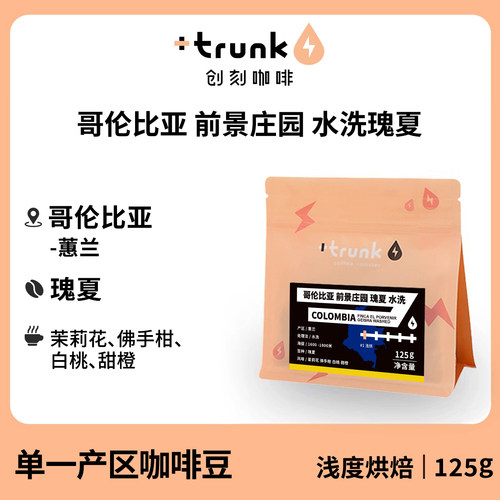 哥伦比亚前景庄园水洗瑰夏咖啡豆