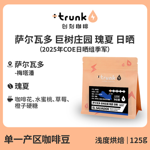 2025COE季军竞标批次萨尔瓦多巨树庄园日晒瑰夏浅烘手冲黑咖啡豆