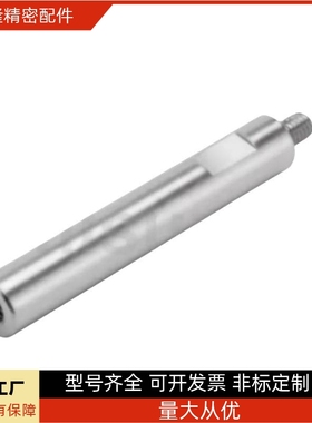 SFAZ SSFAZ PSFAZ PSSFAZ RSFAZ-6/8/10/12/13/15/16/18/20导向轴