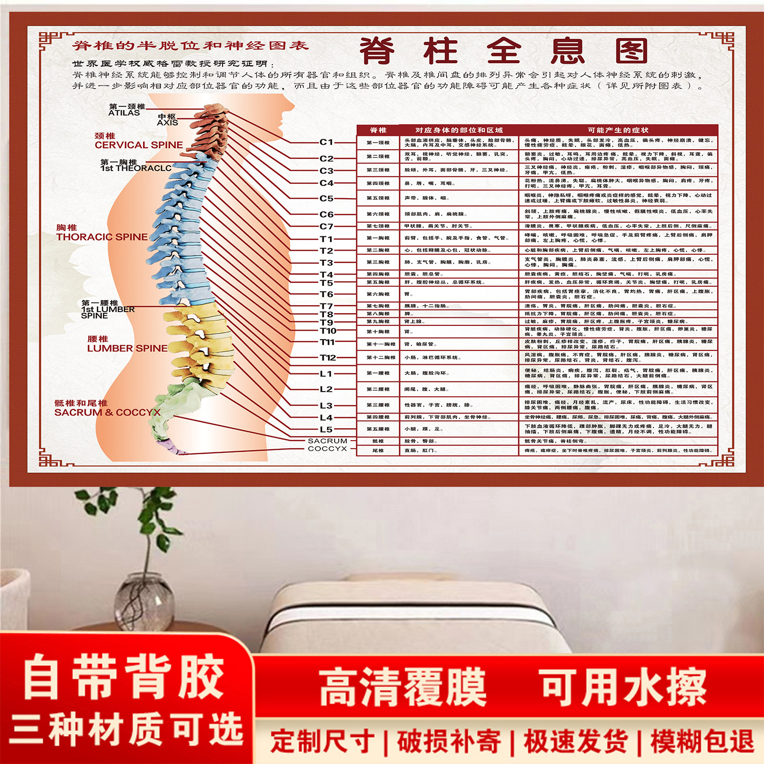 脊柱全息图海报脊椎相关疾病示意图海报腰椎疾病挂图中医馆装饰画