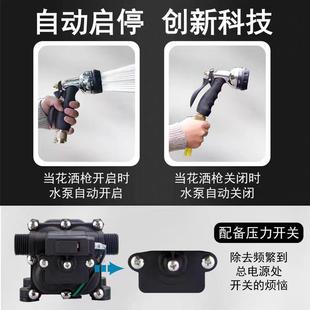 大流量浇菜水泵农用灌溉抽水泵12v24v直流自吸隔膜泵家用抽水泵